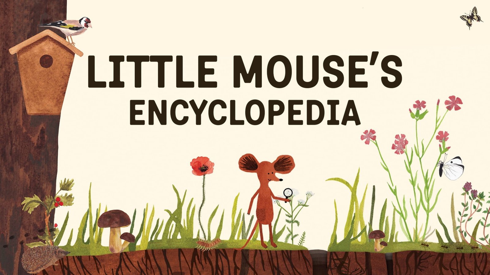 You are currently viewing Little Mouse’s Encyclopedia Review